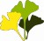 Logo Ginkgo Élagage