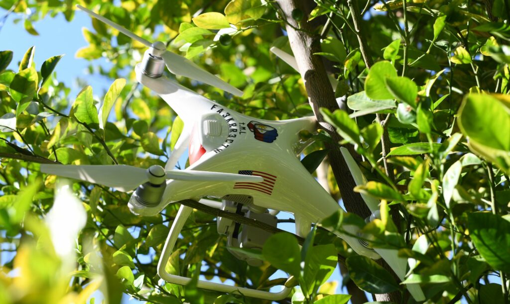 Récupération de drone coincé dans un arbre