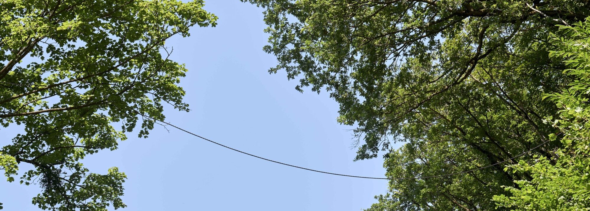 Image page de contact